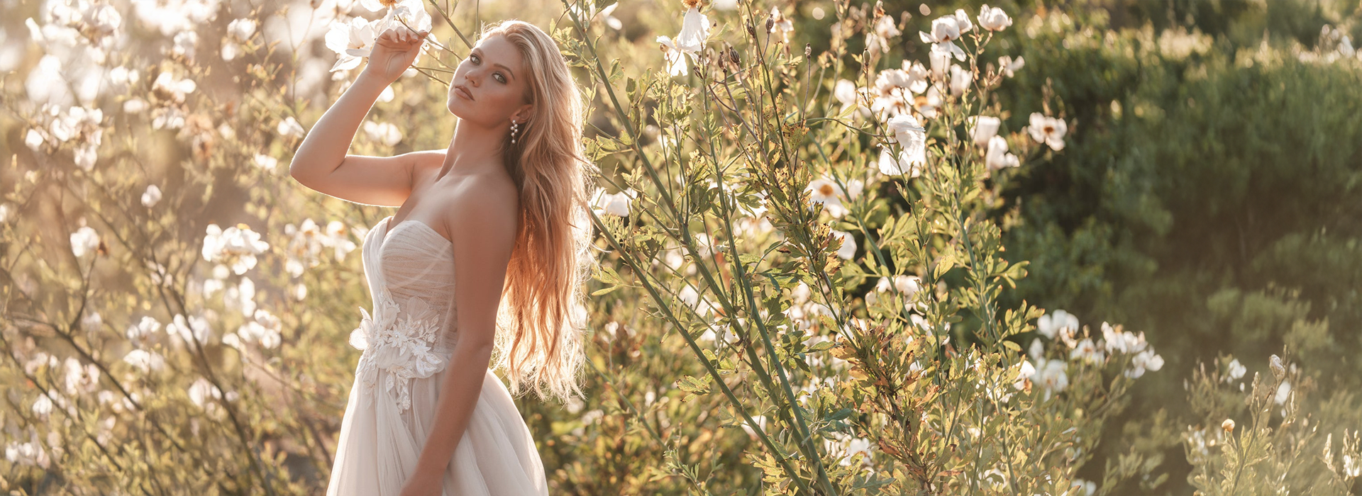<p>Vestidos</p>